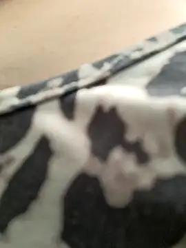 Stripchat Sex Cam for Finallytty_womandportypat