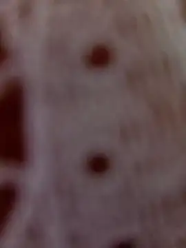 Stripchat Sex Cam for LolaDangerreal