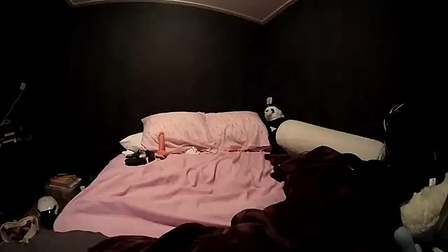 Stripchat Sex Cam for ScarletStudyBae