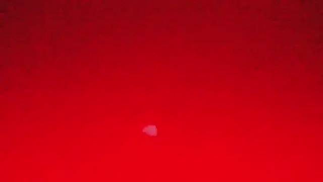 Stripchat Sex Cam for Xzatella
