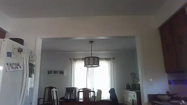 Stripchat Sex Cam for AlessasRoom